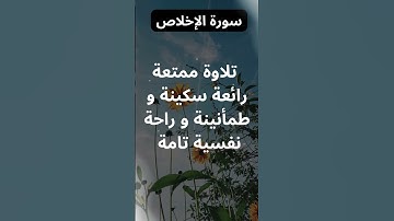 سورة الإخلاص #الشيخ_محمد_الفقيه #اكسبلور #المصحف