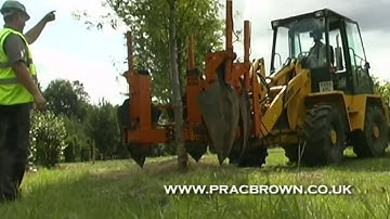 Practicality Brown - Tree moving with Tree Spades