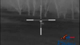 N-Vision Optics Halo-Lr Thermal Scope