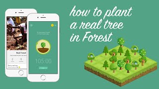 How to Plant a Real Tree in the Forest App on Android & iOS screenshot 4