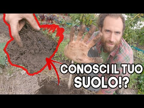 Video: Quali sono due diversi tipi di copertura del suolo?