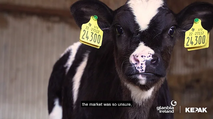 Twenty20 Beef Club Farmer Edward Hennessy
