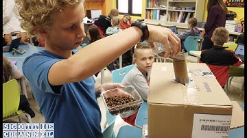 SGE CELTIC Academy Genius Hour Project