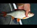 Душевное видео про весеннюю рыбалку на лесном озере