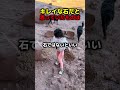 娘がキレイな石を見つけたけど