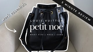 IS THIS THE BAG FOR YOU? Petit Noe Review |What Fits, Pros, Cons & Mod Shots all in just *5 MINUTES*