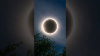 Why Is Everyone Talking About the August 12 Solar Eclipse 🌑 #Shorts