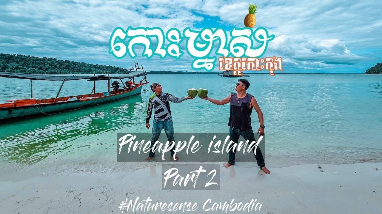 Pineapple Island កោះម្នាស់ ឥន្រ្ទីធ្វើសុី Drone ជិះទូកស្ទូ ចត្រី