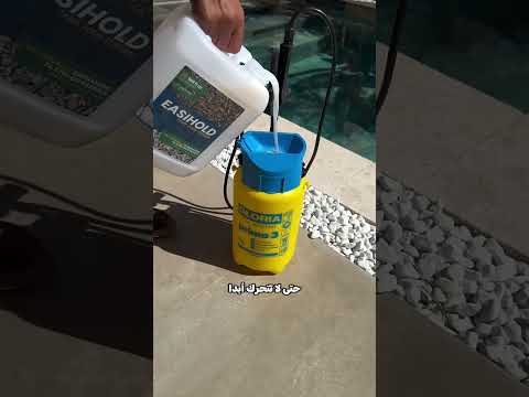 حل ذكي لمشكلة الحصى