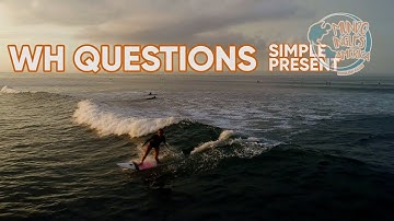 WH questions simple present