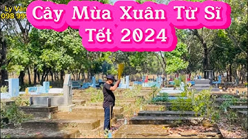 Lễ Cây Mùa Xuân Tử Sĩ tại Nghĩa trang Quân Đội Biên Hoà - Tết Giáp Thìn 2024
