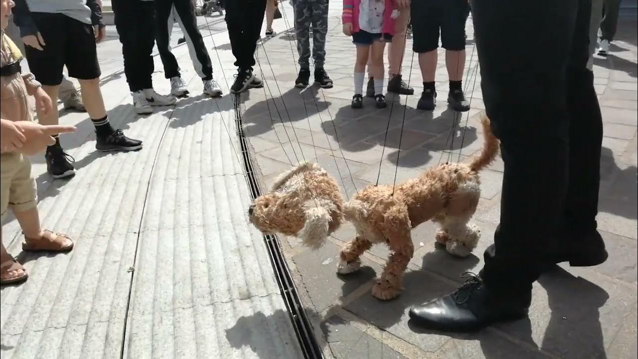Puppet walking dog YouTube