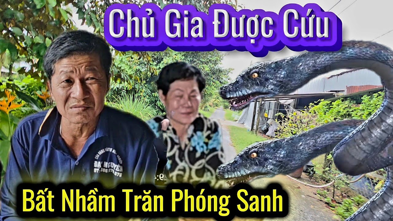 Nổi Ốc Cục.Phát hiện Người Đàn Lạ Đến Nhà Chủ Gia Bất Nhầm Trăn Phóng Sanh Làm Đều Này 