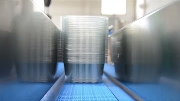 Automated Tray Filling Line