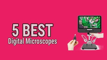 5 Best Digital Microscopes 2021