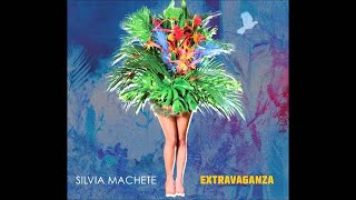 Video thumbnail of "Meu carnaval - Silvia Machete"