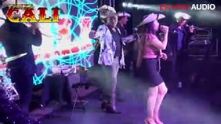 Video-Miniaturansicht von „FLOR HERMOSA- EL HUIZACHE- TIERRA CALI FEAT VIRY SANDOVAL LA REYNA DE TIERRA CALIENTE  EN VIVO“