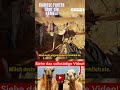 Kuriose Fakten über Kamele Teil 11 #kamel #kamele #tier #tiere #shorts
