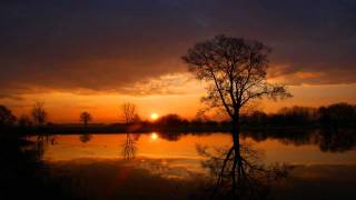 Sun Devoured Earth - Spring Again