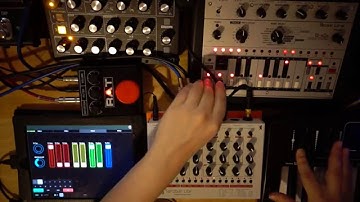 Morphing jam with moog minitaur, x0xb0x & Tanzbär Lite