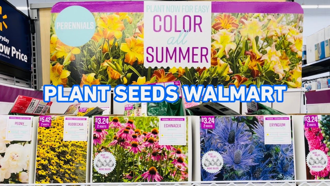 PLANT FLOWER SEEDS WALMART YouTube