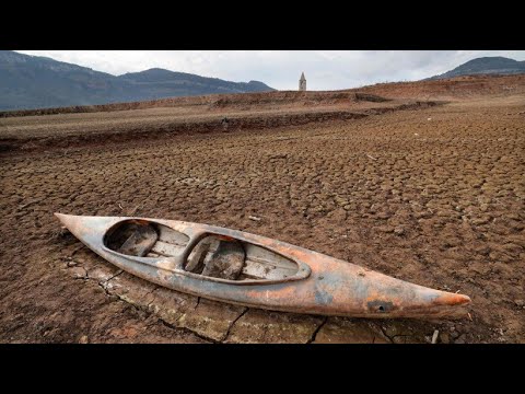 Bäume retten im Klimawald: Vorzeige-Projekt gegen Dürre | Frankenschau | BR