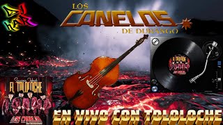 LOS CANELOS DE DURANGO EN VIVO CON TOLOLOCHE RANCHERITAS LLEGADORAS Y CORRIDOS PESADOS DJ HAR by DJ H.A.R. 1,738 views 1 day ago 54 minutes