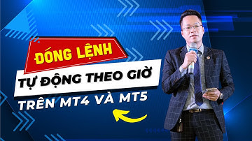 Hướng dẫn đóng lệnh tự động theo giờ bằng AI trên MT4 và MT5