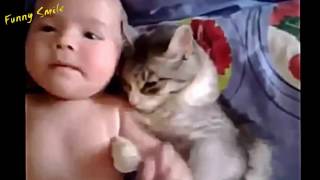 Кошки с детьми Кошки с детьми