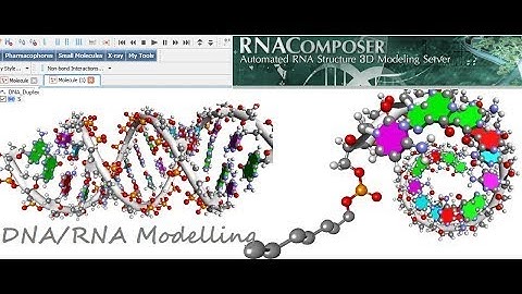RNA Structure Prediction, 2D,3D structure prediction by mfold & RNAcomposer, ncbi