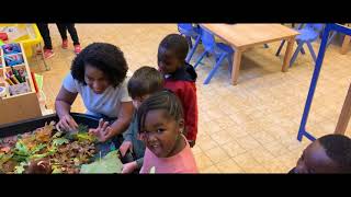 Climate Action School Of Excellence 2021 Application