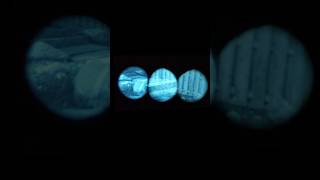 What Quad Night Vision Actually Looks Like - Nocturn Chimera #shorts #chimera