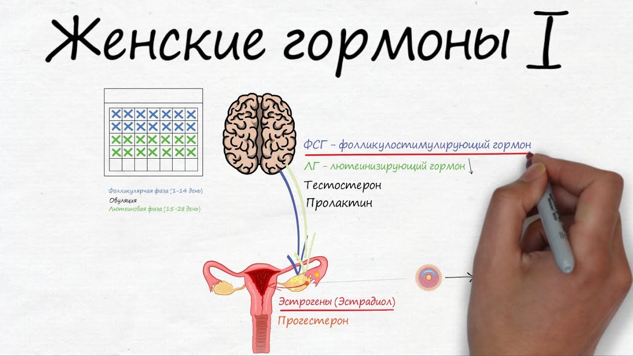 повышение ФСГ у мужчин