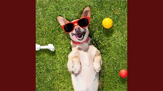 Download Lagu Attract Dogs (Sound Effect) Download Lagu Attract Dogs (Sound Effect)