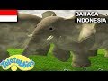 Teletubbies Bahasa Indonesia Klasik Ada Gajah Full Episode HD Kartun Lucu Anak Anak Teletubbies Bahasa Indonesia Klasik Ada Gajah Full Episode HD Kartun Lucu Anak Anak