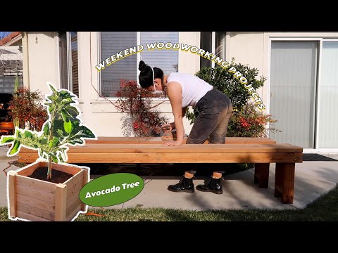 Weekend Woodworking Projects || Planting an Avocado Tree