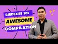 Birds Life 101 Awesome compilation
