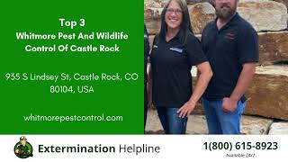 Top 3 Exterminators in Castle Rock