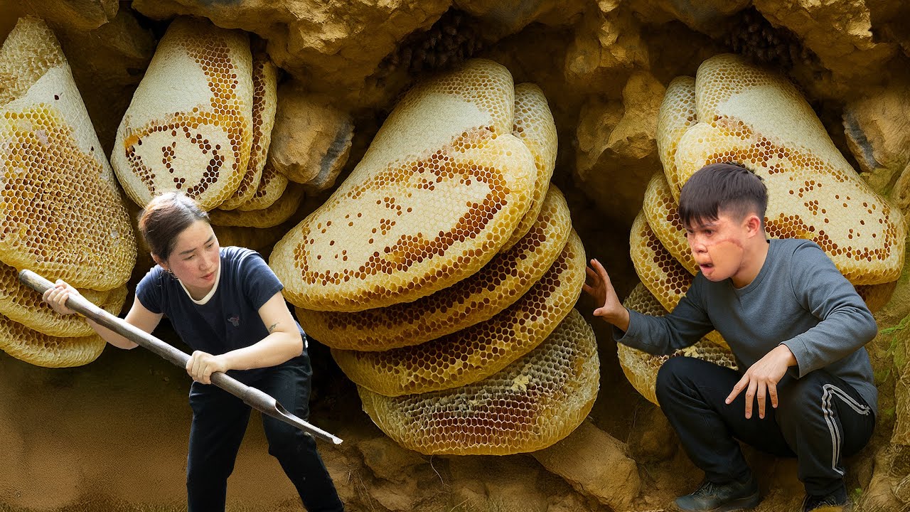Women and Disabled Boys Harvesting Giant Honeycomb Underground - Harvesting Honey Underground