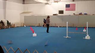 Jingle Rally Advanced Title