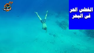 تعلم السباحة فى البحر | الغطس الحر | Free Diving