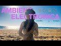 Ambient electronica live mixing session at the beach  by emilynn mp3