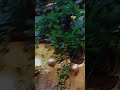 بحس حالي أحيانا جاي من عالم تاني