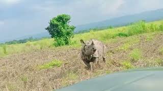 Chitawan Sauraha Park