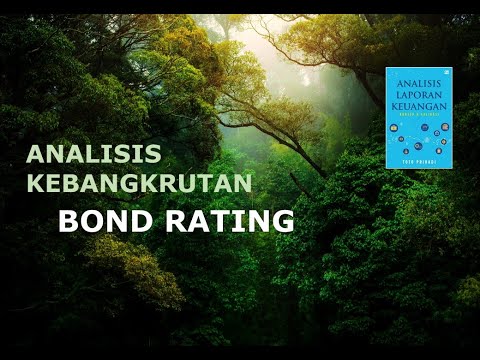 Video: Rating BBB. Peringkat kredit dan penelitian
