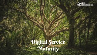 Digital Service Maturity Model