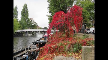 Afscheid herfst 2025 Amsterdam