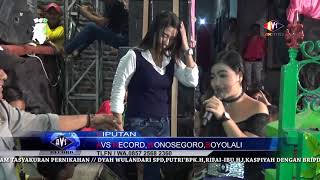 OLIVIA MAHESWARA - KEPALING | OM.BCD LIVE PILANGSARI SAYUNG DEMAK