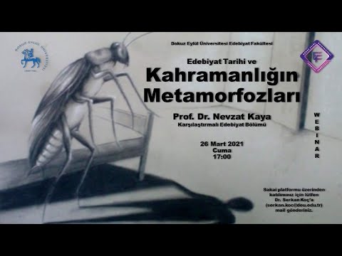 Video: Çeşitliliğin Metamorfozları