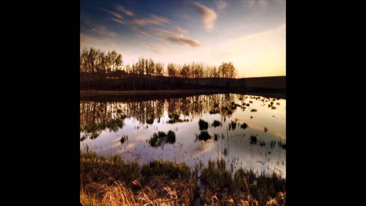 Field recording of frogs near Wayne, Alberta.